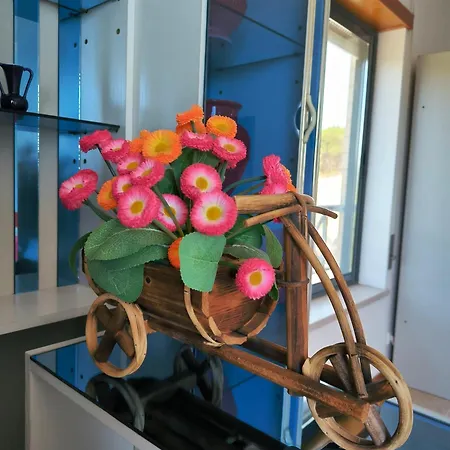 Nazare's House * Nazaré